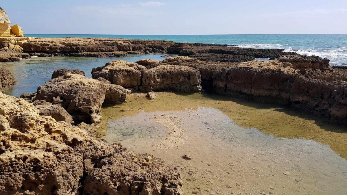 Albufeira Sea View公寓 外观 照片