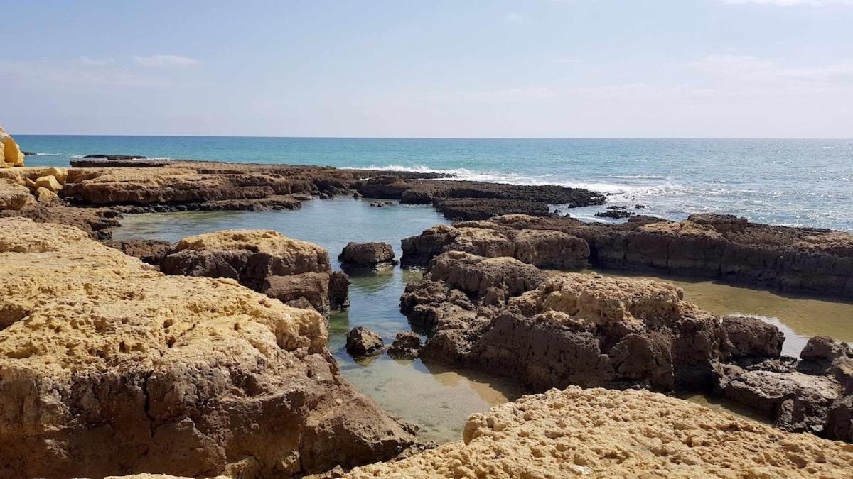 Albufeira Sea View公寓 外观 照片