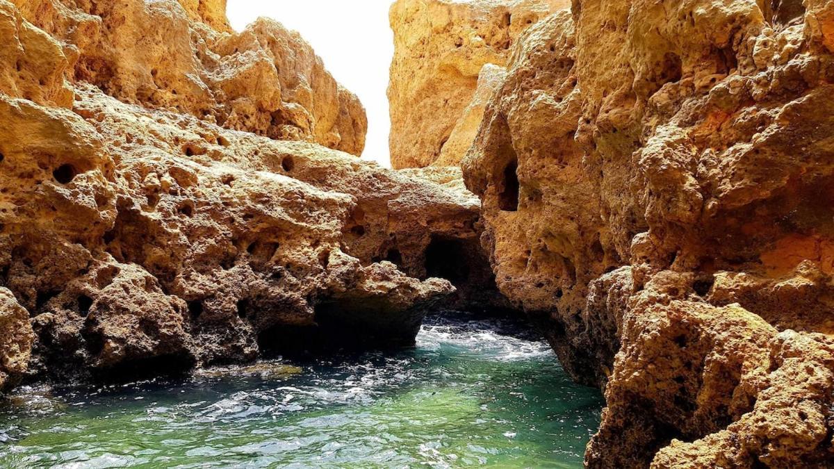 Albufeira Sea View公寓 外观 照片